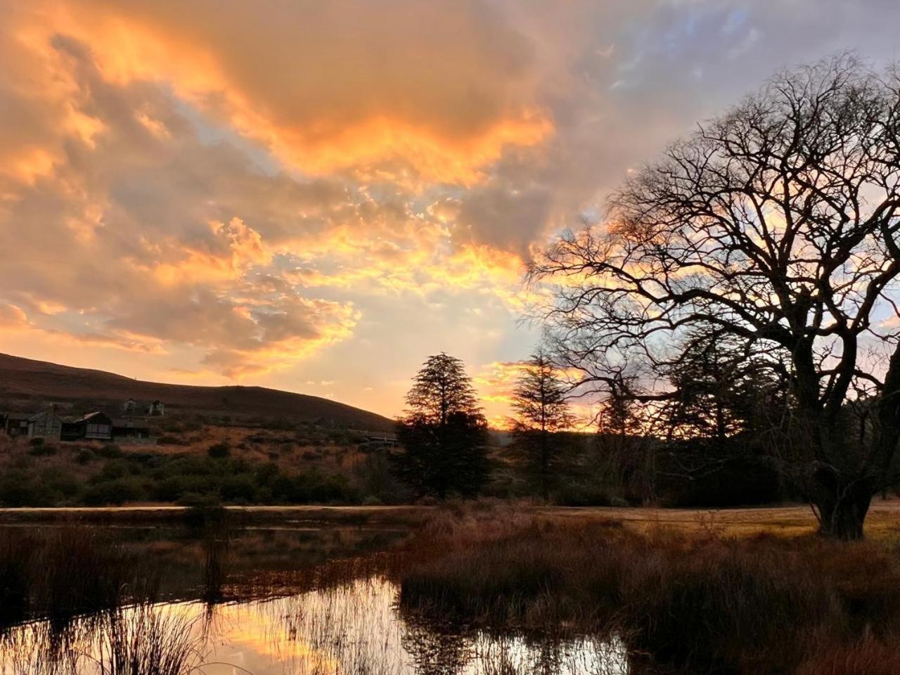 Stone Creek Mountain Lodge Dullstroom Εξωτερικό φωτογραφία