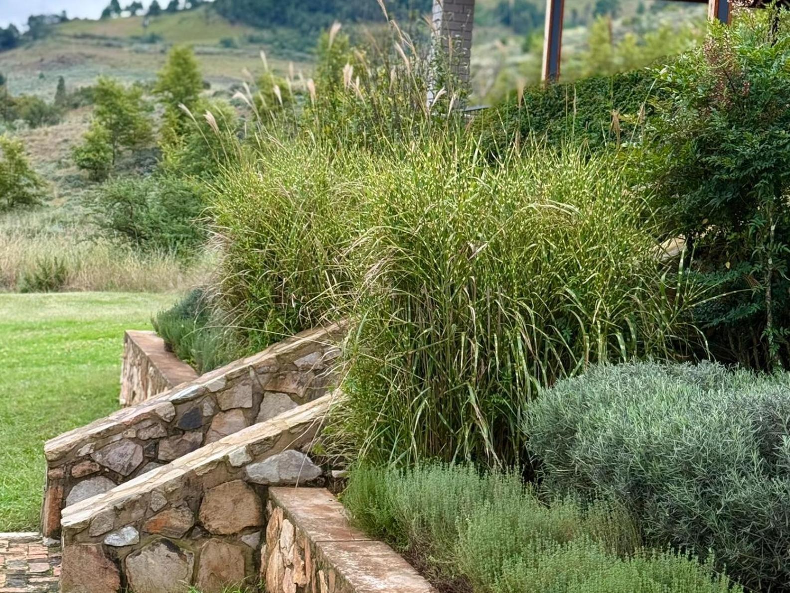 Stone Creek Mountain Lodge Dullstroom Εξωτερικό φωτογραφία