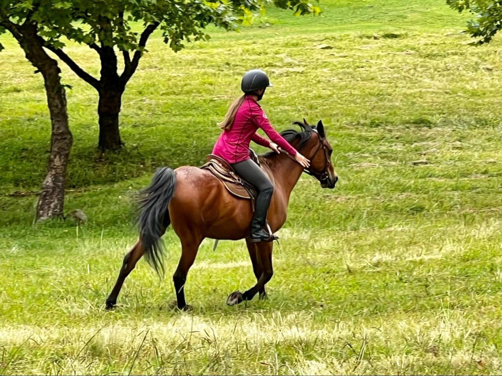 Stone Creek Mountain Lodge Dullstroom Εξωτερικό φωτογραφία